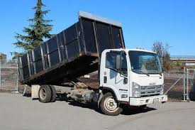 Best Hoarding Cleanup  in Mountain Lake, MN